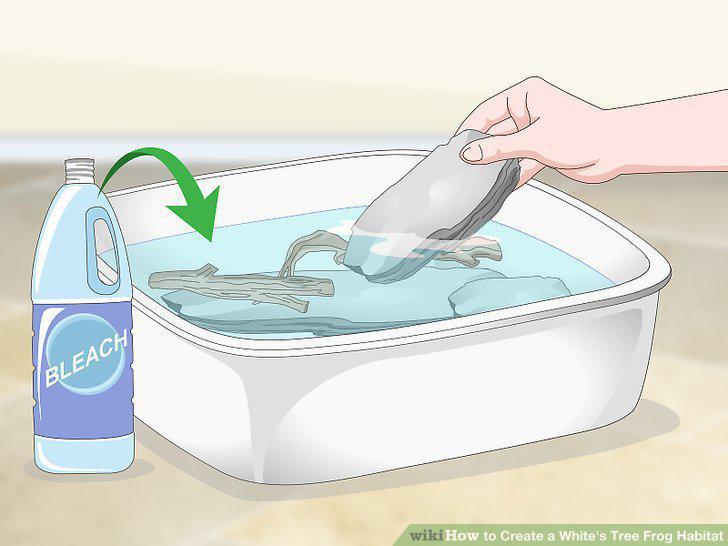 Step 5