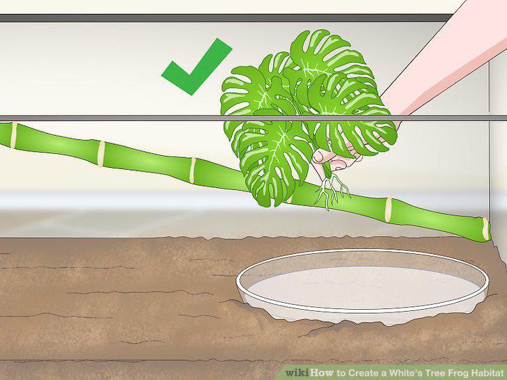 Step 6