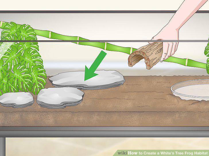 Step 8