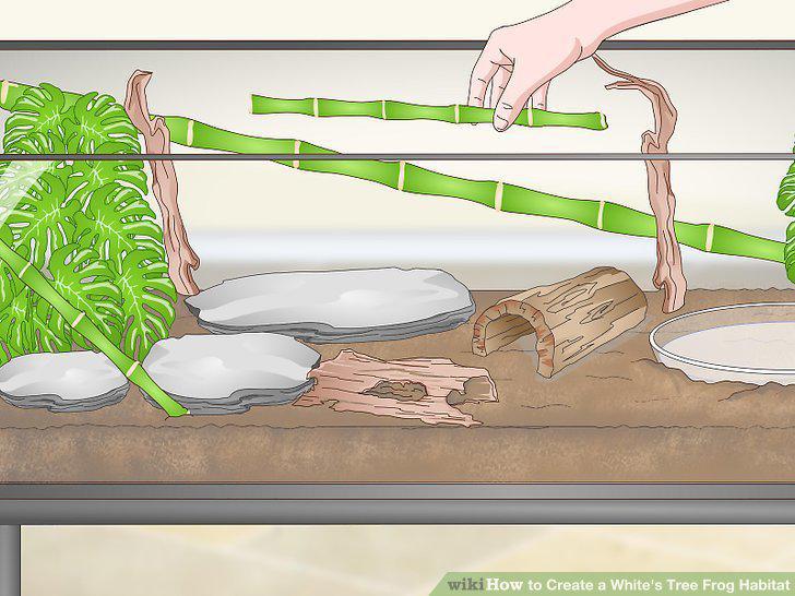 Step 9