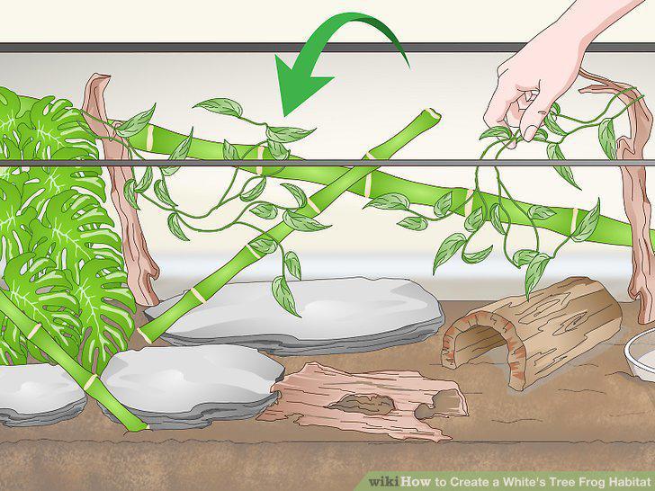 Step 10