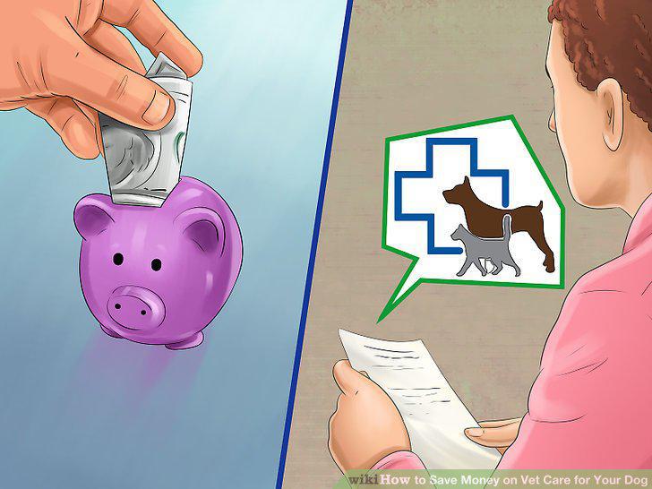 Step 8