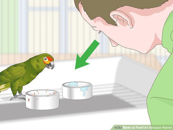 Step 11