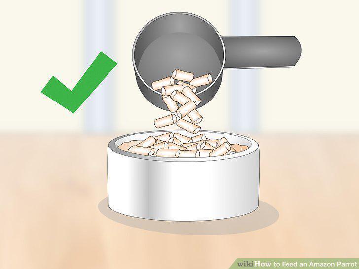Step 8