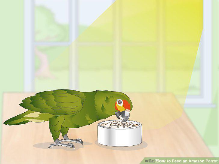 Step 9