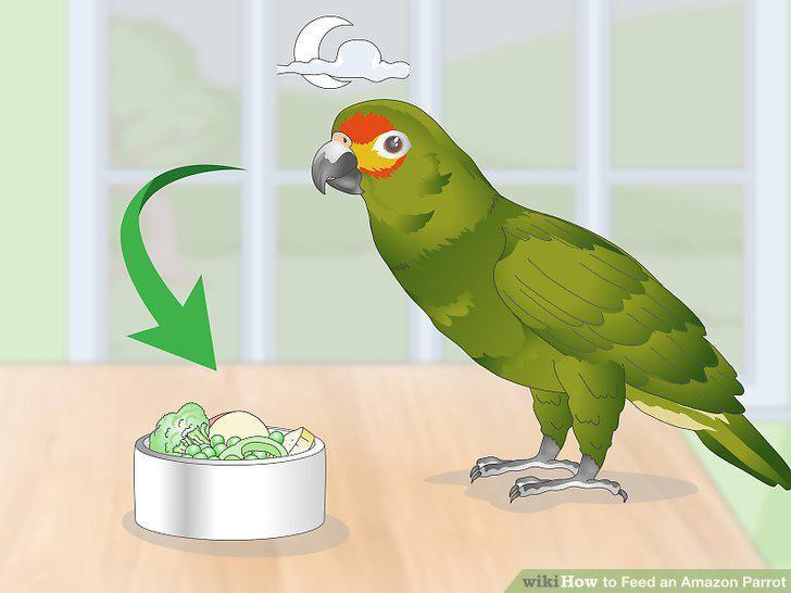 Step 10