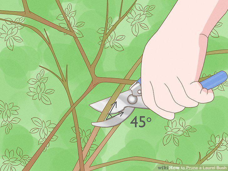 Step 6