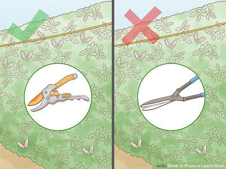 Step 10