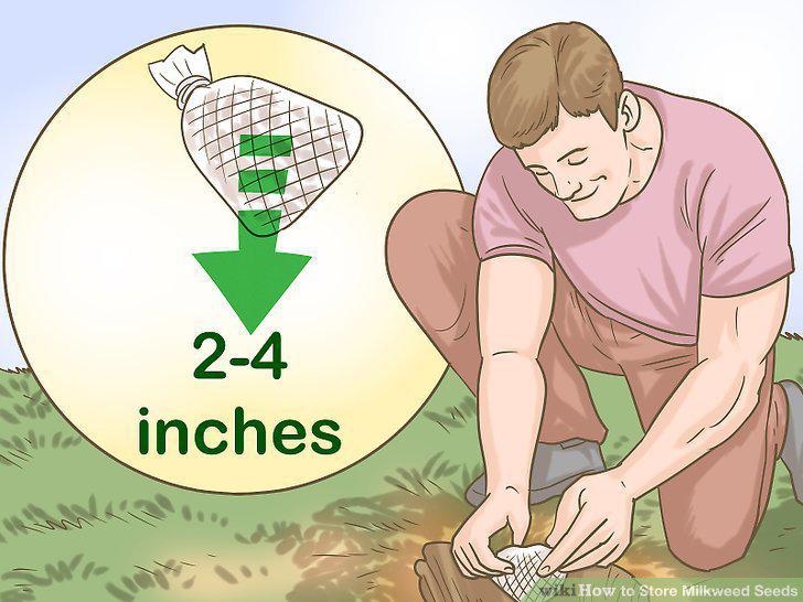 Step 8