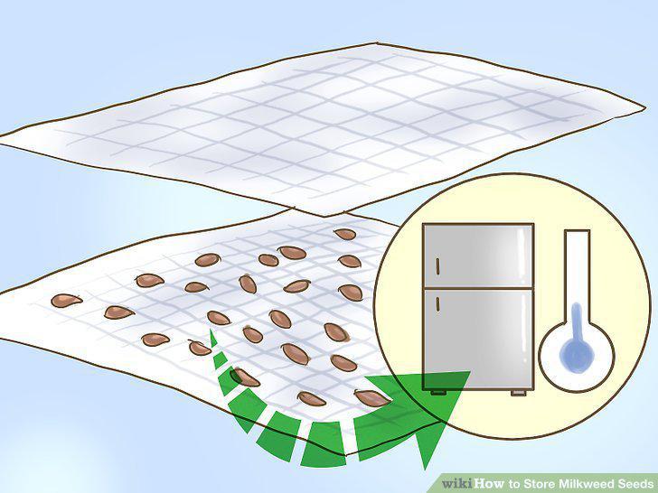 Step 9