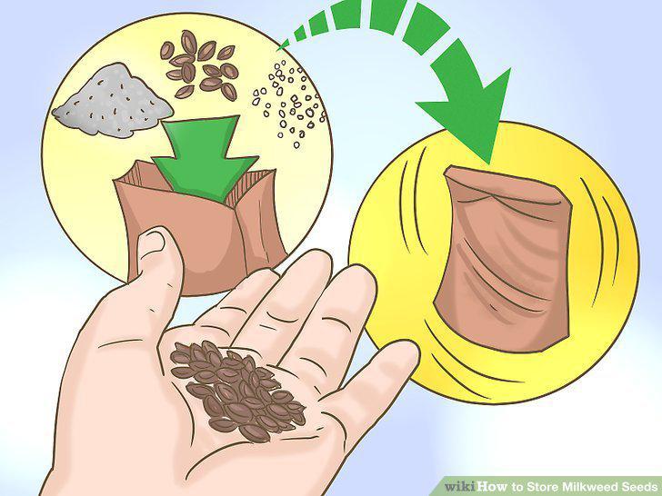 Step 10