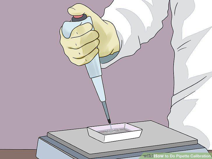 Step 7