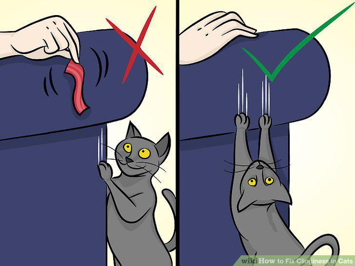 Step 2