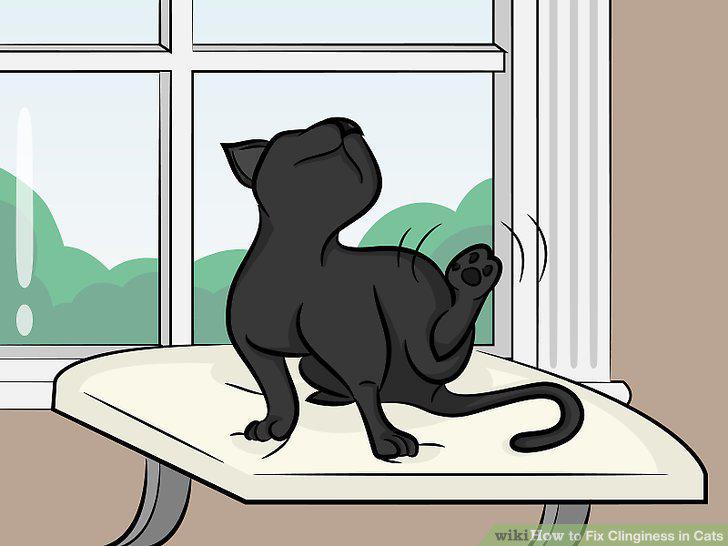 Step 8