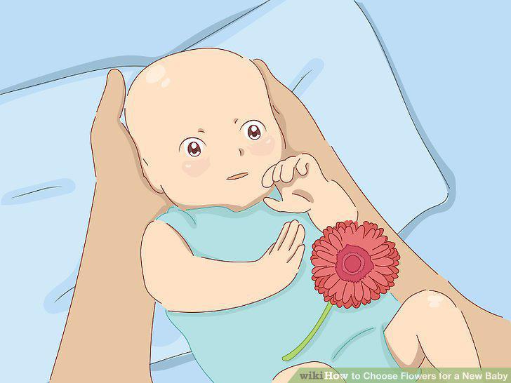 Step 13
