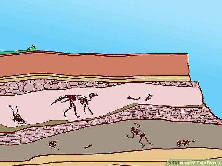 Step 5