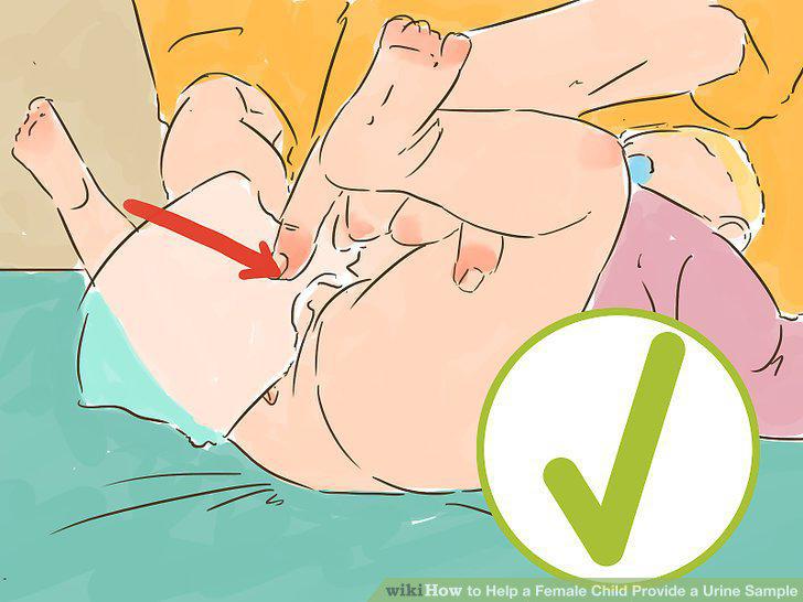 Step 12