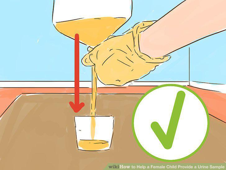 Step 13