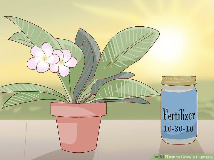 Step 13