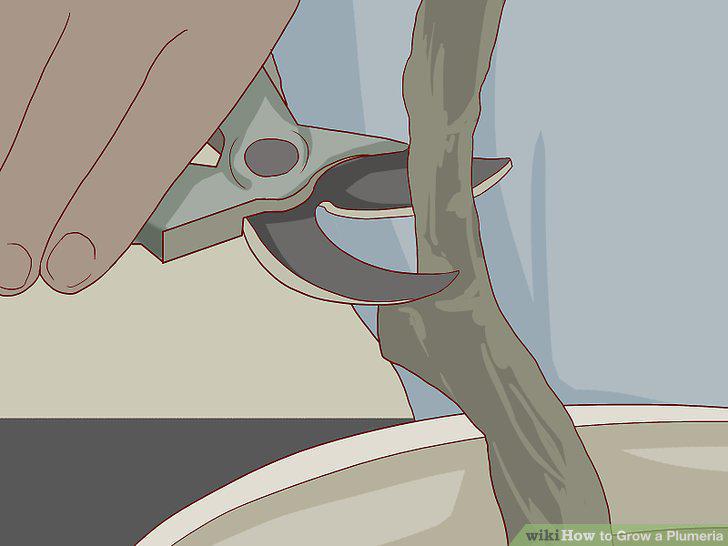 Step 14