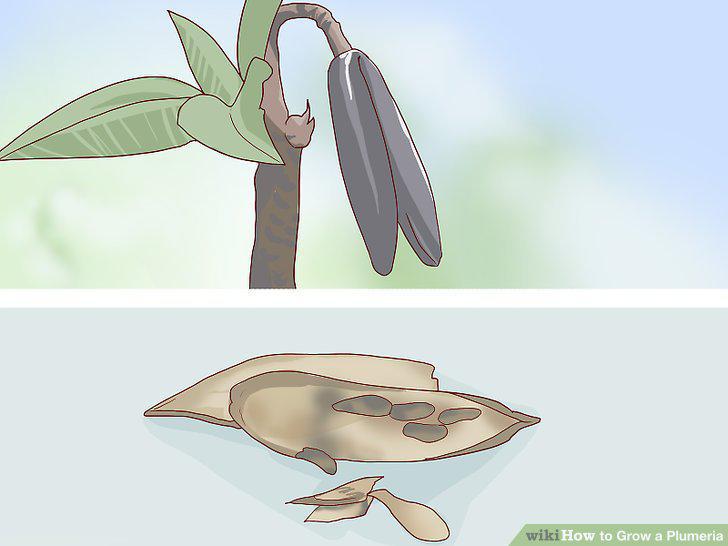 Step 17