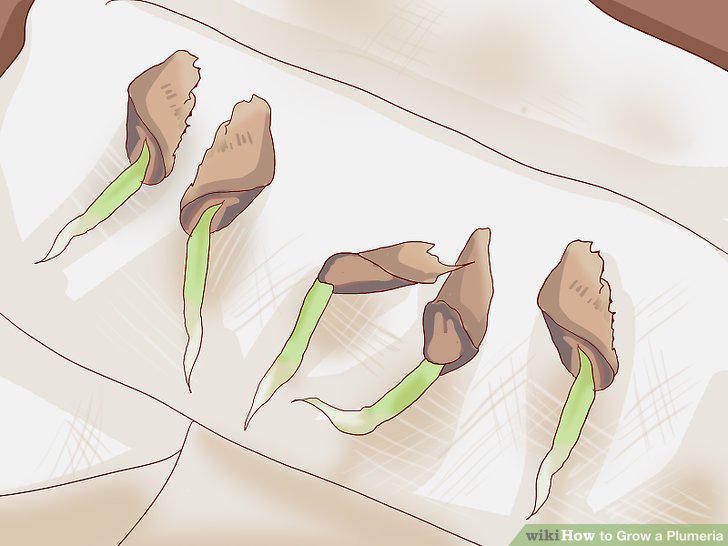 Step 8