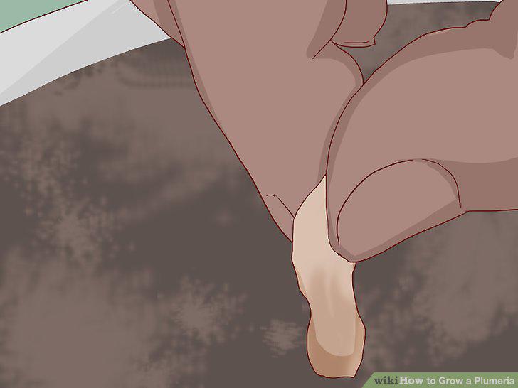 Step 9