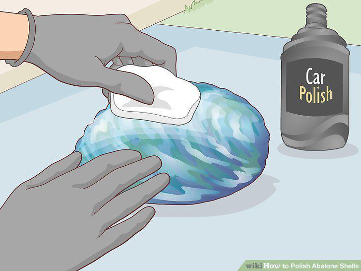 Step 12