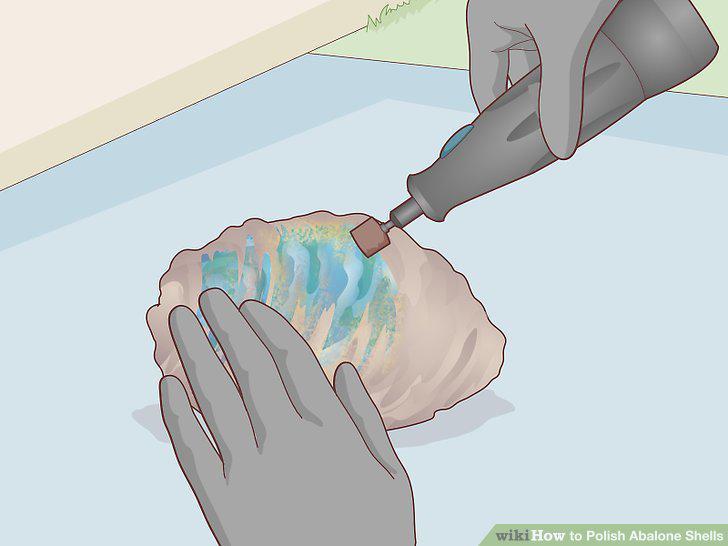 Step 10