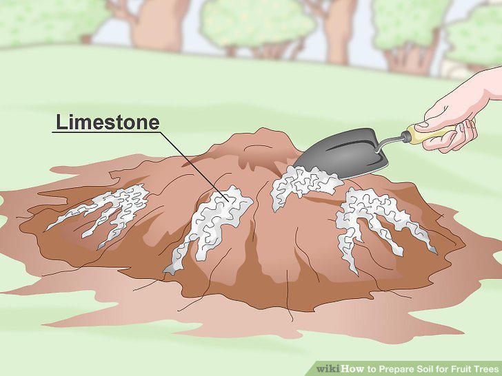 Step 11