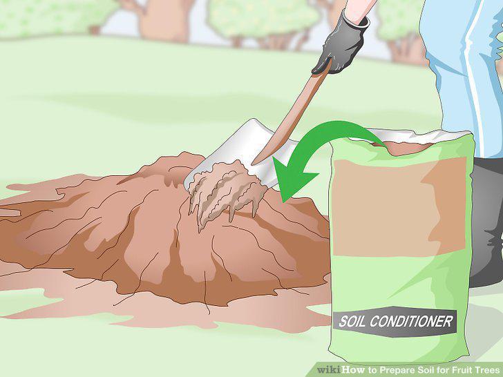 Step 12