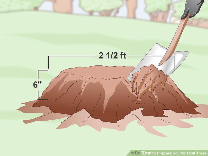 Step 4