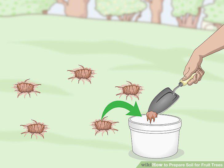Step 10