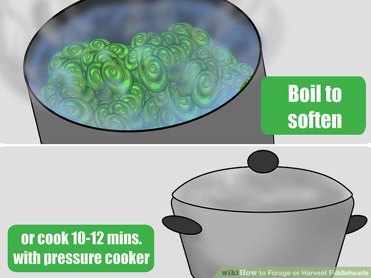 Step 11