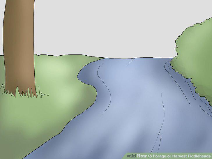 Step 6