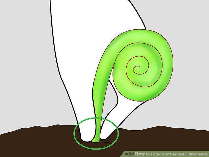 Step 7