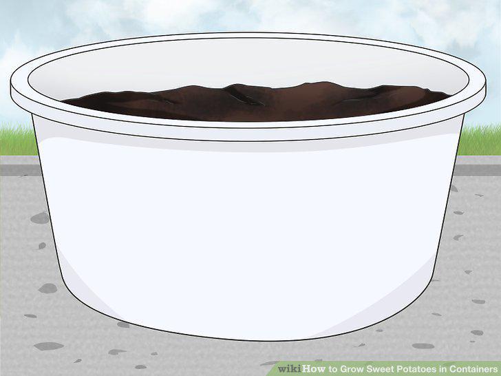 Step 7