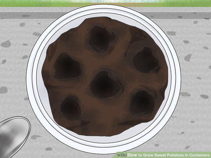 Step 8