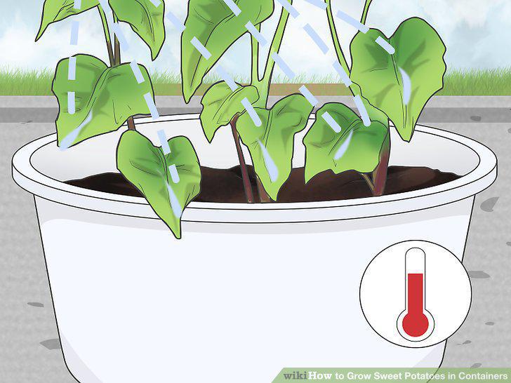 Step 10