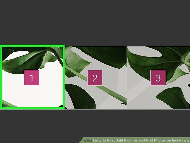Step 7