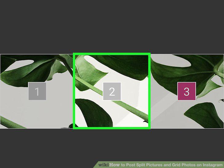 Step 10