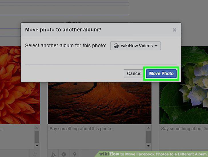 Step 10
