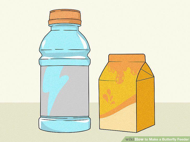 Step 11
