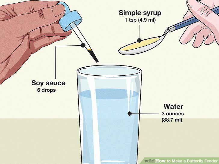 Step 12