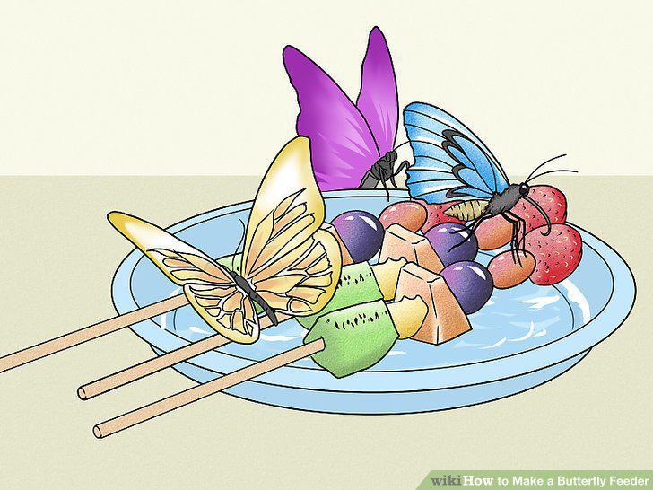 Step 14
