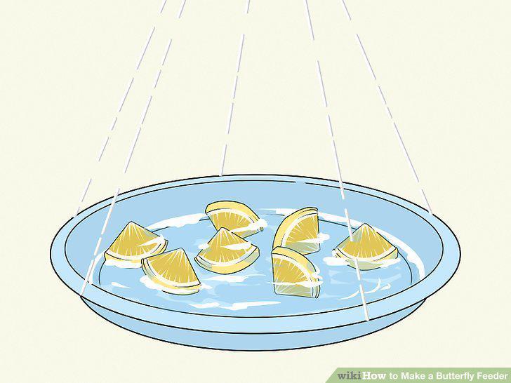 Step 10