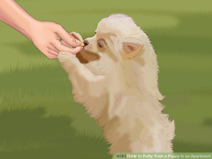 Step 5