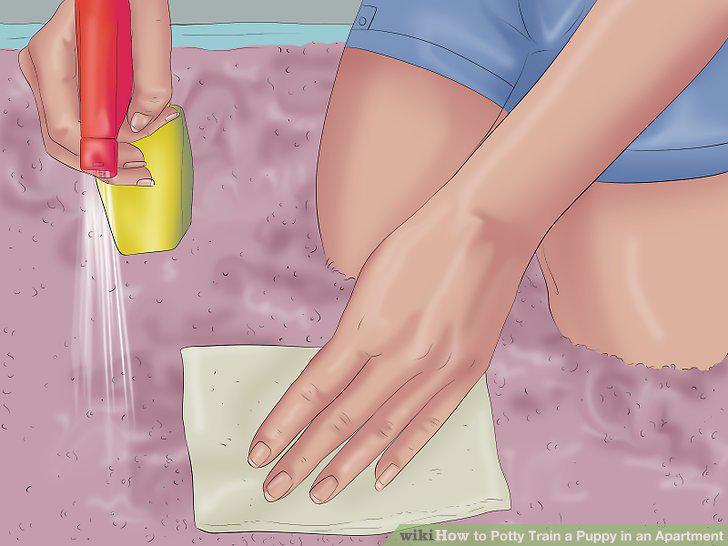 Step 9