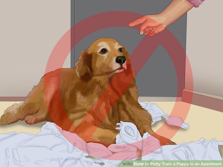 Step 10