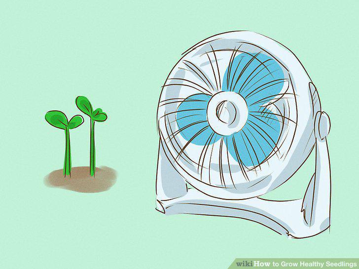 Step 11